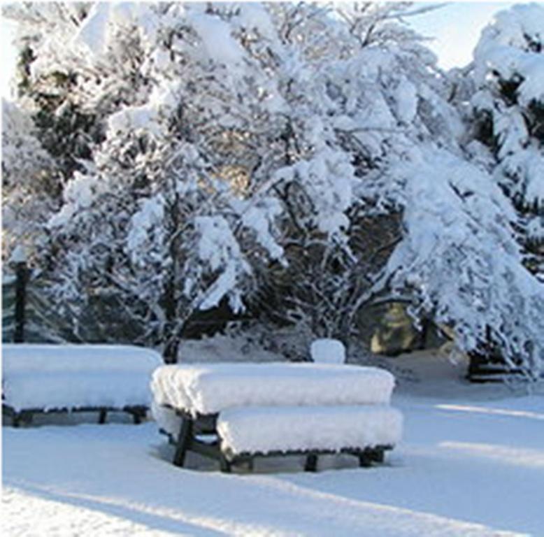 Jack In The Green Garden Rooms Hanmer Springs Exteriör bild